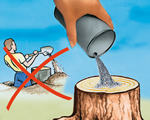 RootExtractor®, klaar voor de herfst, Pak uw boomstronk problemen letterlijk bij de wortel aan...