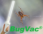 BugVac®, auto & reizen, comfort op reis, Dé oplossing voor vervelende spinnen - snel, veilig en diervriendelijk