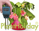PlantHoliday®, auto & reizen, comfort op reis, Met PlantHoliday® irrigatie systeem overleven uw planten uw vakantie