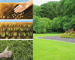 EcoHumus® 1300 gram, Deze gecomprimeerde potgrond houdt uw planten vochtig in de droge zomers